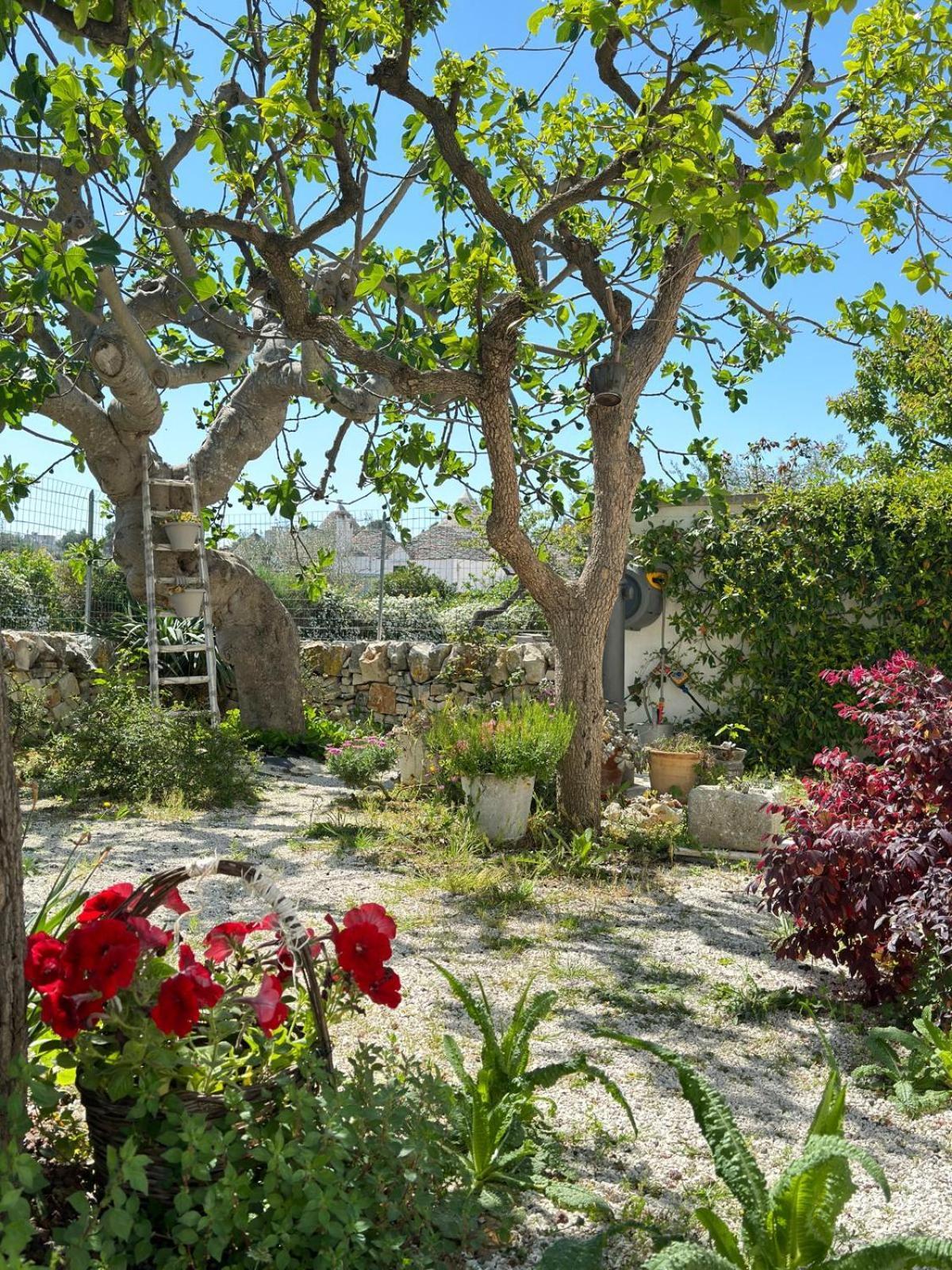 Trulli Resort Aia Piccola Alberobello Extérieur photo